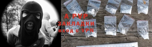 PSILOCYBIN Аркадак