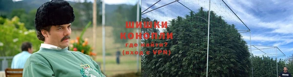 PSILOCYBIN Аркадак