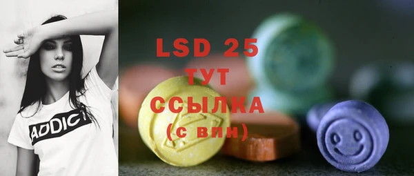 PSILOCYBIN Аркадак